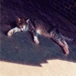 Meet your Posher, Zach